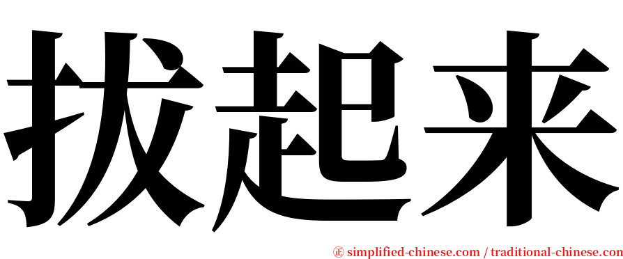 拔起来 serif font