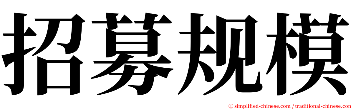 招募规模 serif font