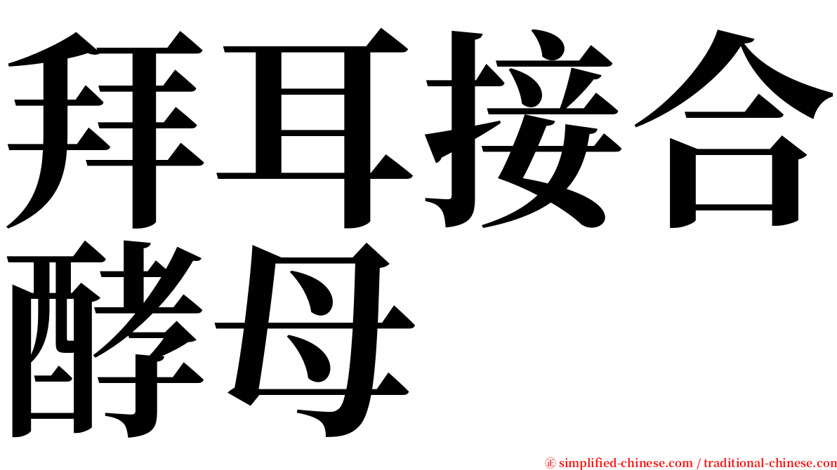 拜耳接合酵母 serif font