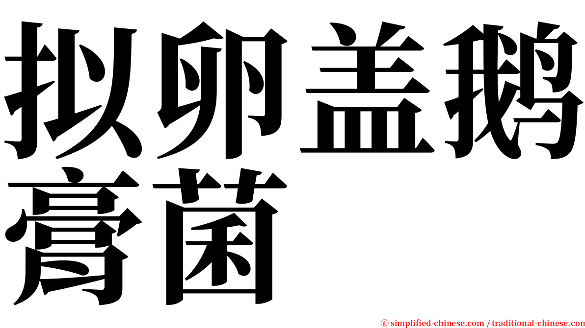 拟卵盖鹅膏菌 serif font