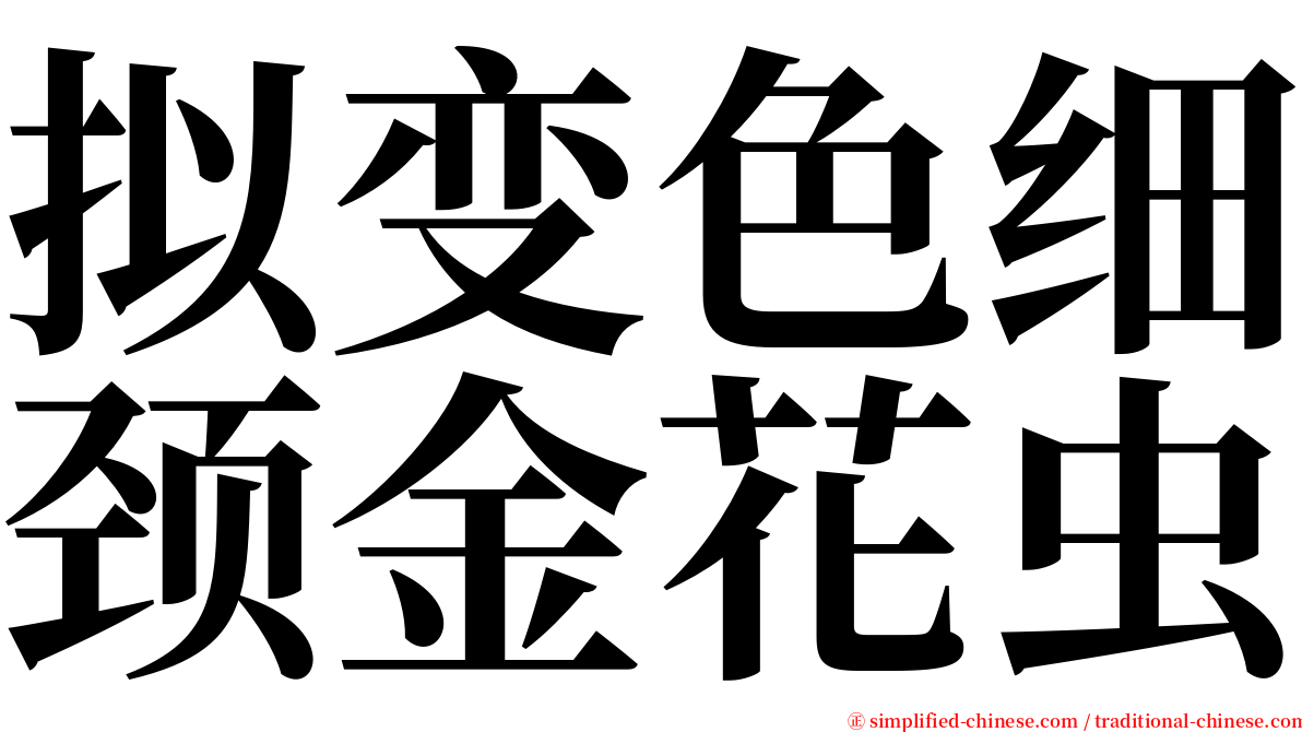 拟变色细颈金花虫 serif font