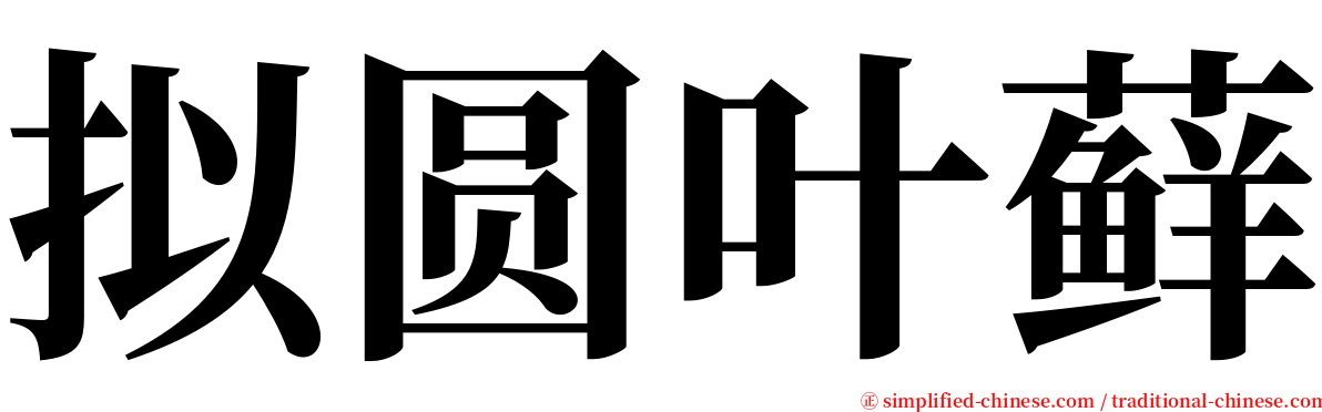 拟圆叶藓 serif font