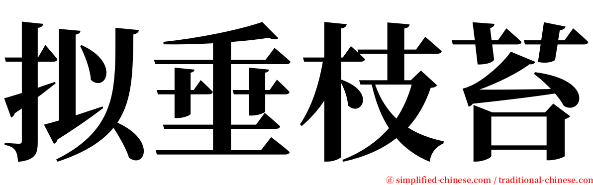 拟垂枝苔 serif font