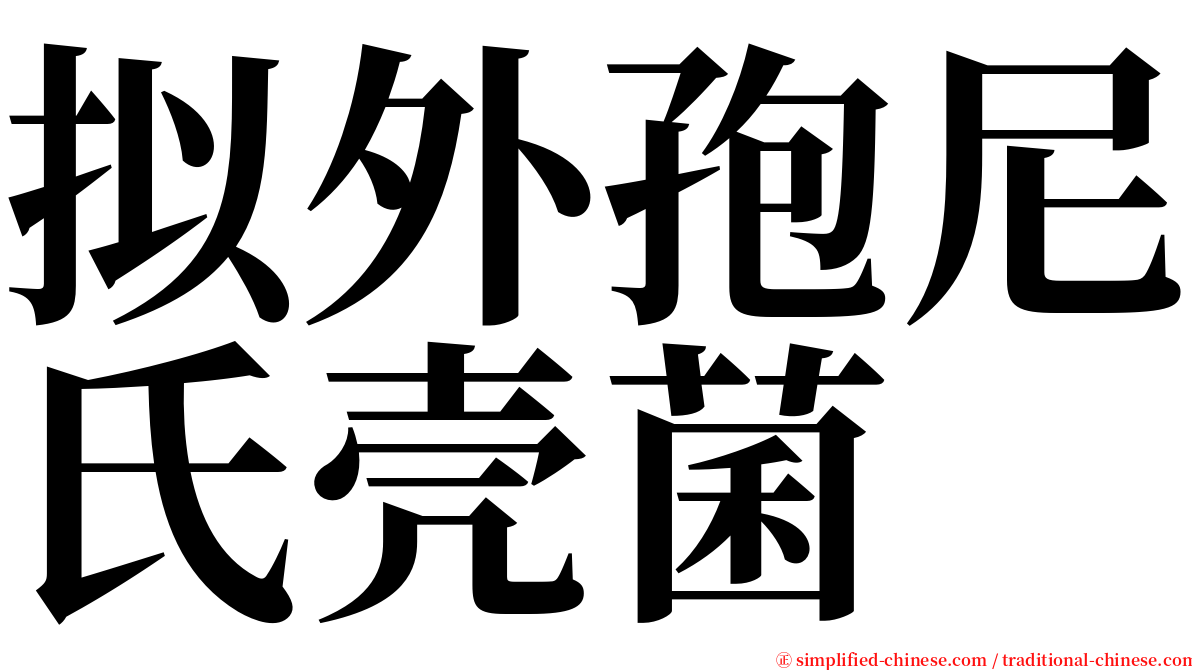 拟外孢尼氏壳菌 serif font