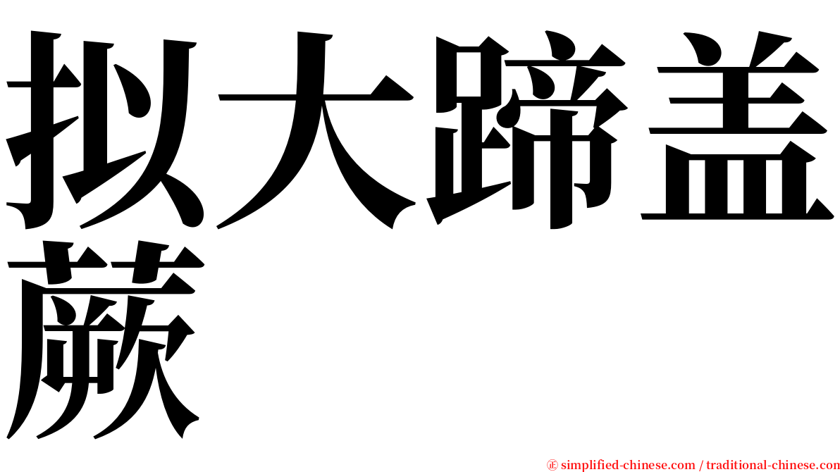 拟大蹄盖蕨 serif font