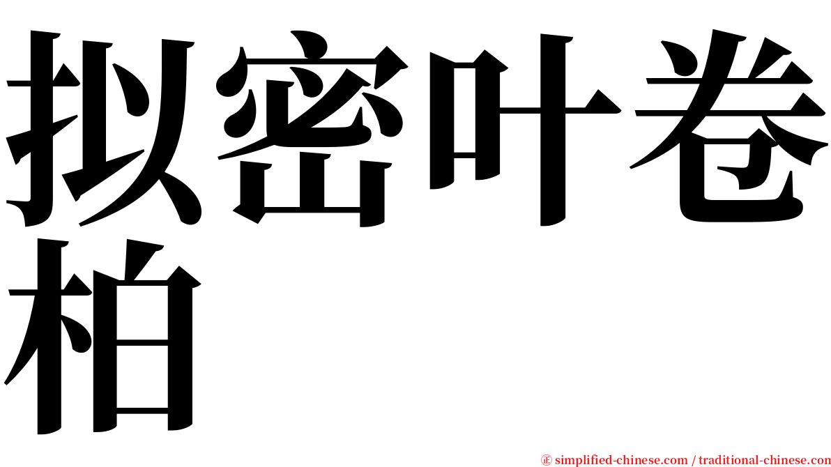 拟密叶卷柏 serif font