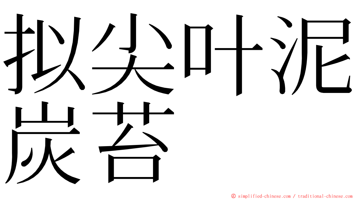 拟尖叶泥炭苔 ming font