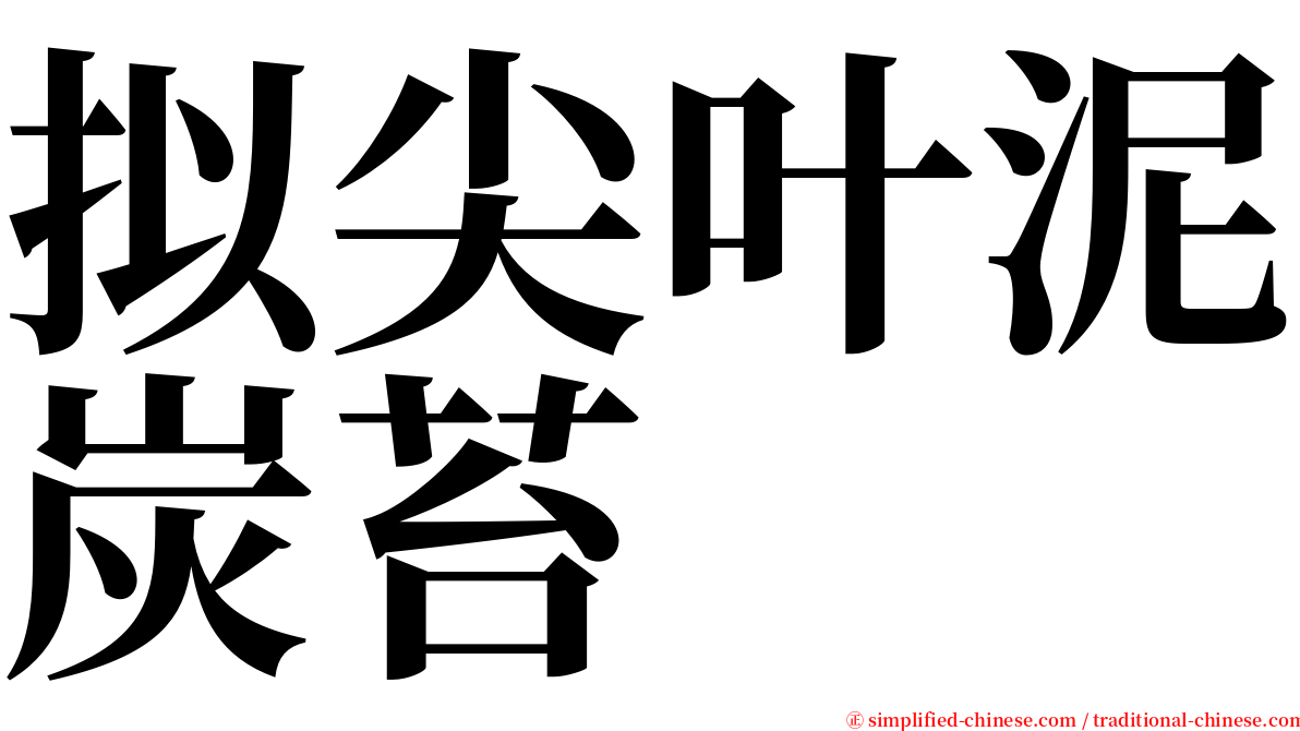 拟尖叶泥炭苔 serif font