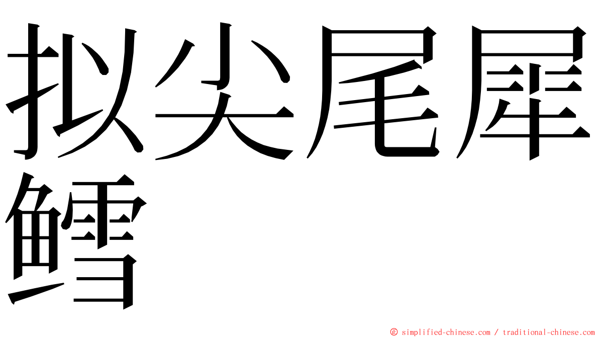 拟尖尾犀鳕 ming font