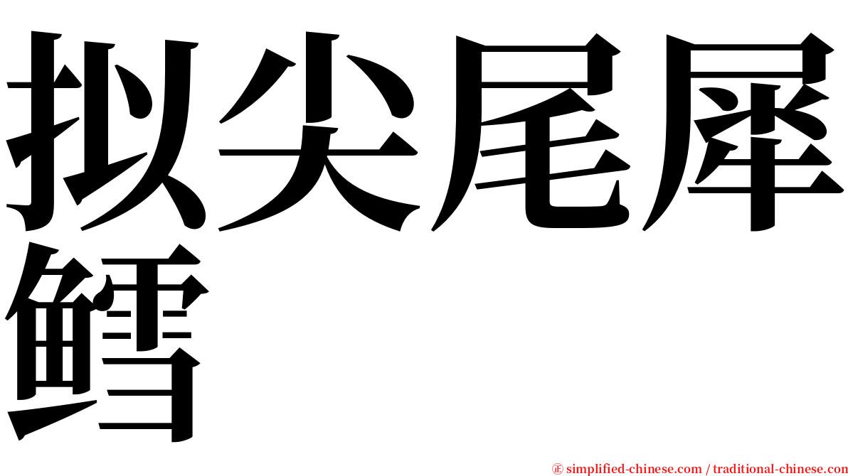 拟尖尾犀鳕 serif font