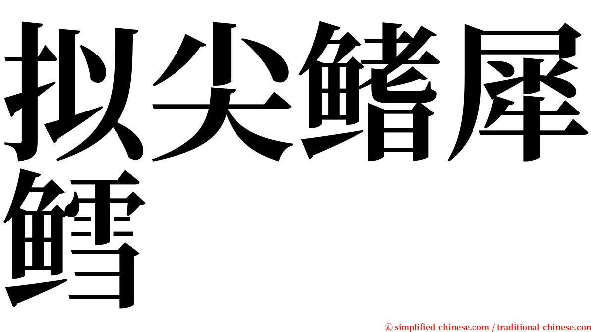 拟尖鳍犀鳕 serif font