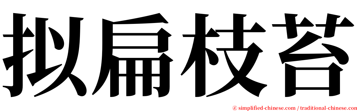 拟扁枝苔 serif font