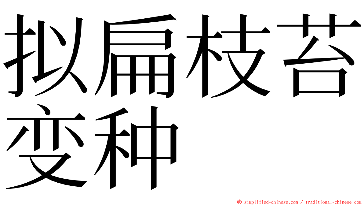 拟扁枝苔变种 ming font