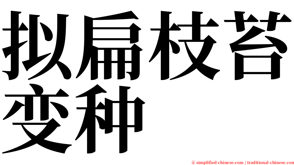 拟扁枝苔变种 serif font