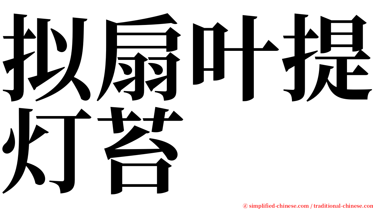 拟扇叶提灯苔 serif font