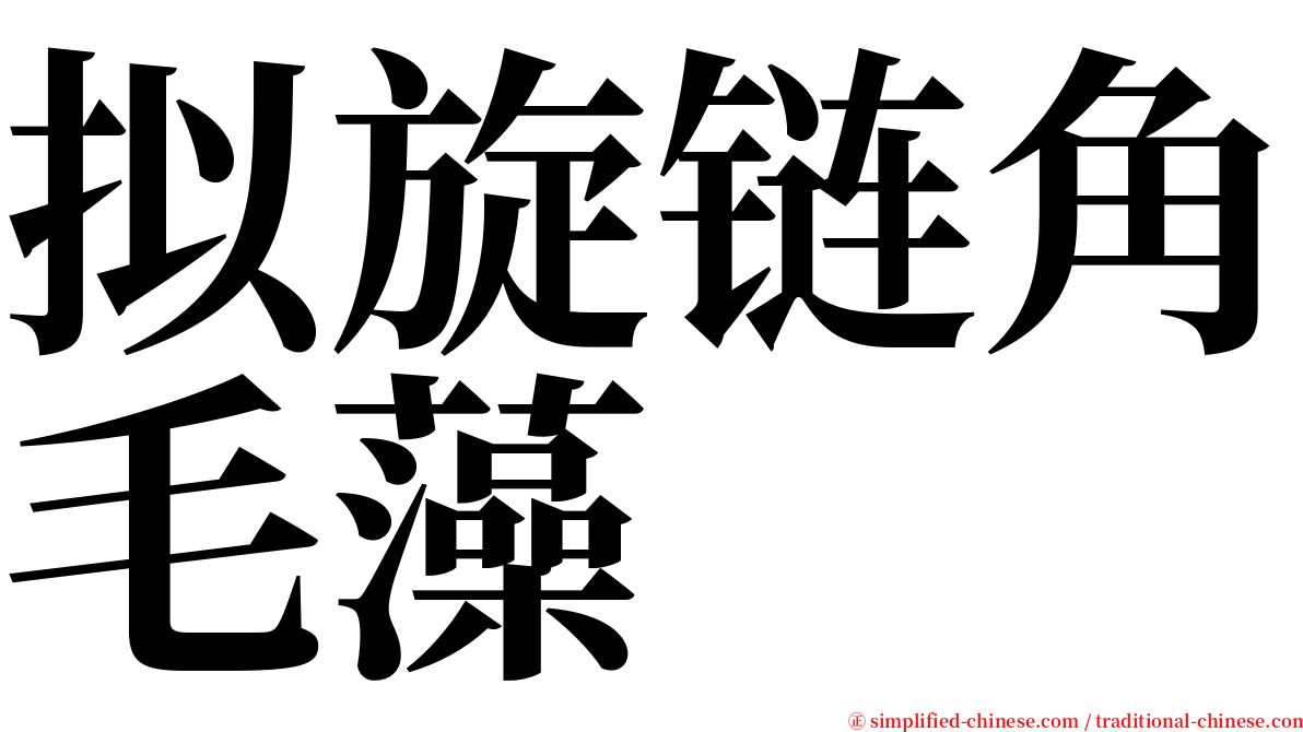 拟旋链角毛藻 serif font