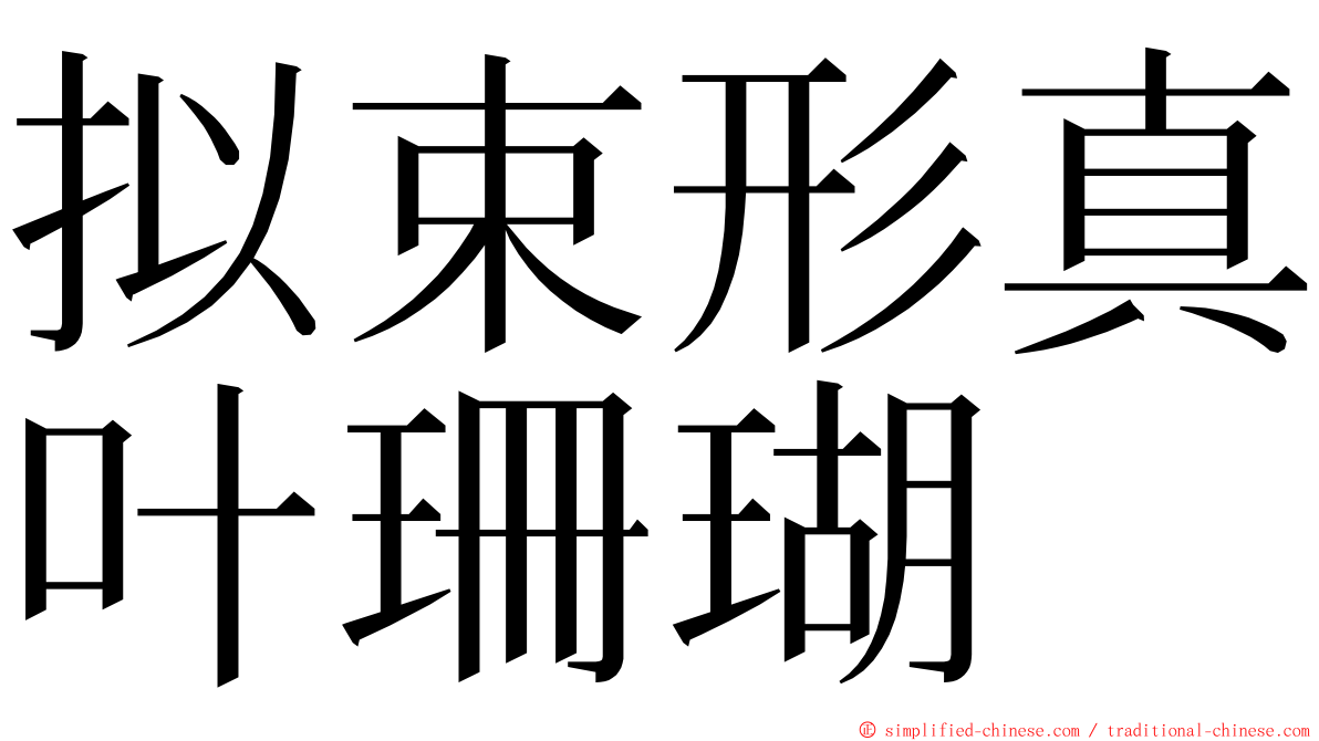 拟束形真叶珊瑚 ming font