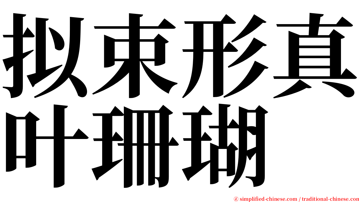 拟束形真叶珊瑚 serif font