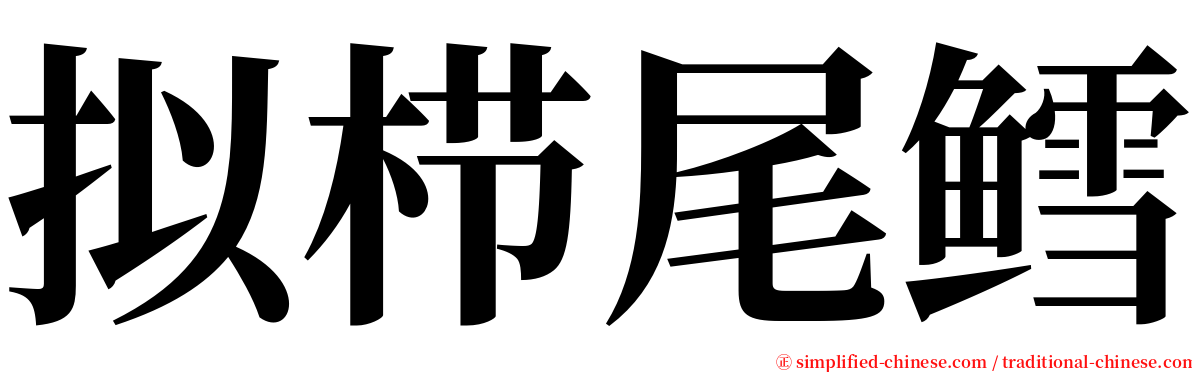 拟栉尾鳕 serif font