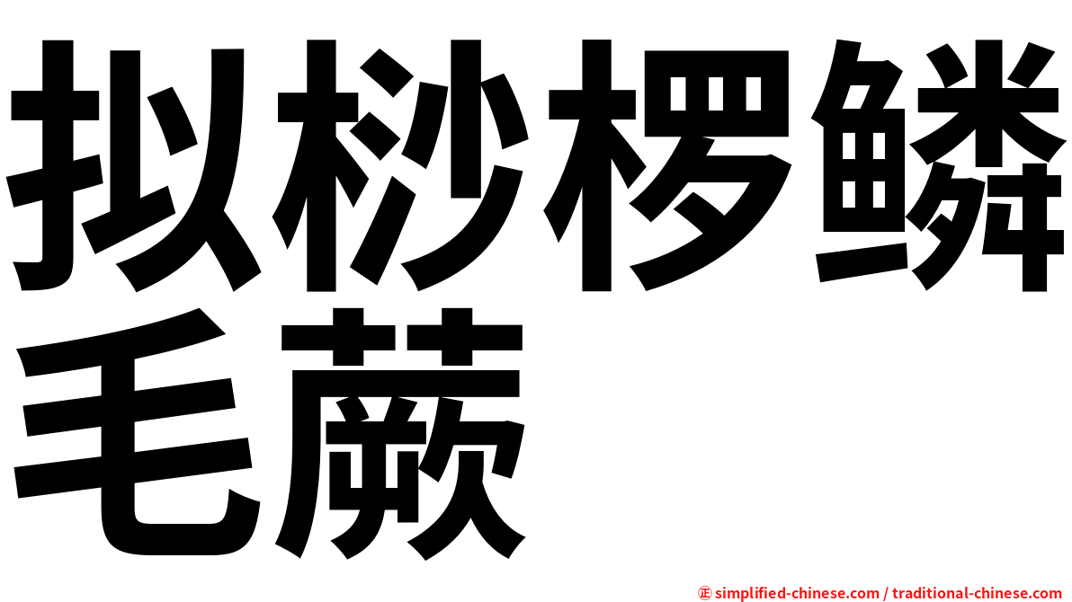 拟桫椤鳞毛蕨