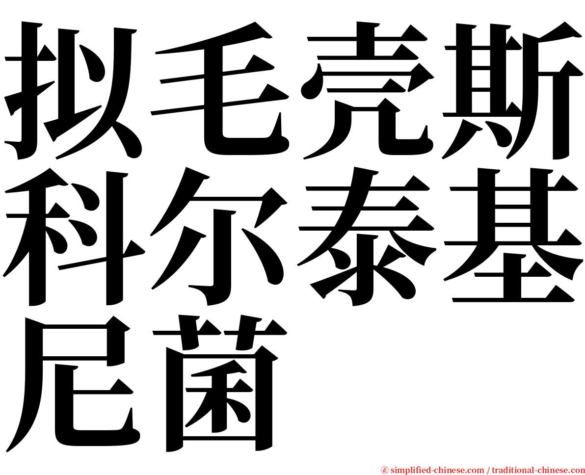 拟毛壳斯科尔泰基尼菌 serif font