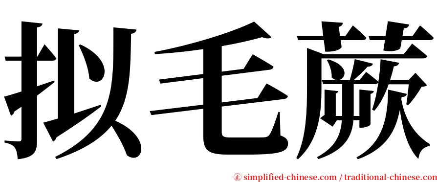 拟毛蕨 serif font