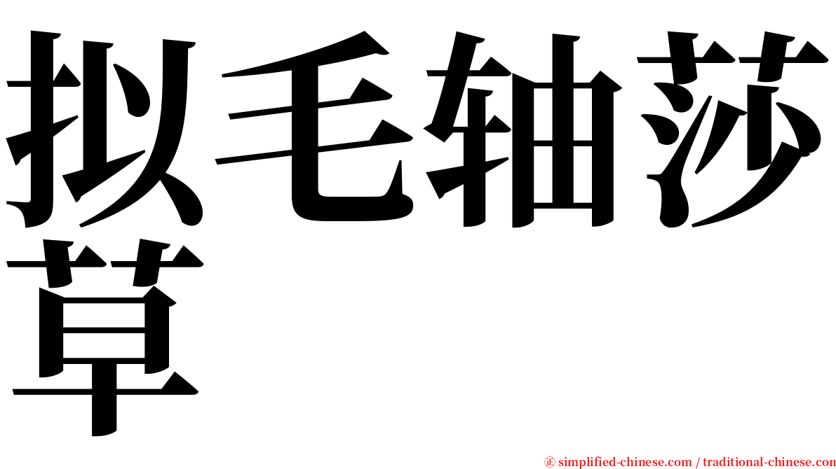 拟毛轴莎草 serif font