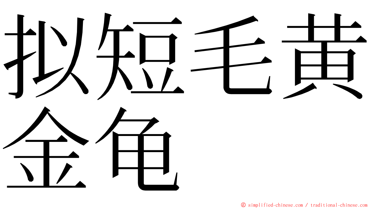 拟短毛黄金龟 ming font