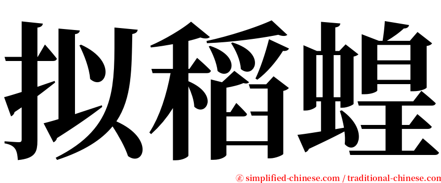 拟稻蝗 serif font