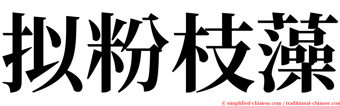 拟粉枝藻 serif font