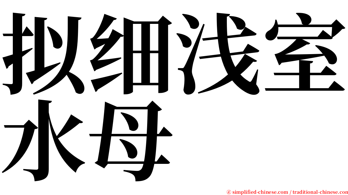 拟细浅室水母 serif font