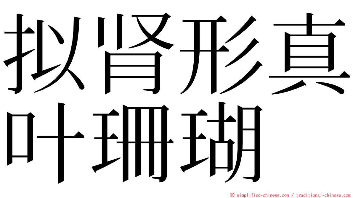 拟肾形真叶珊瑚 ming font