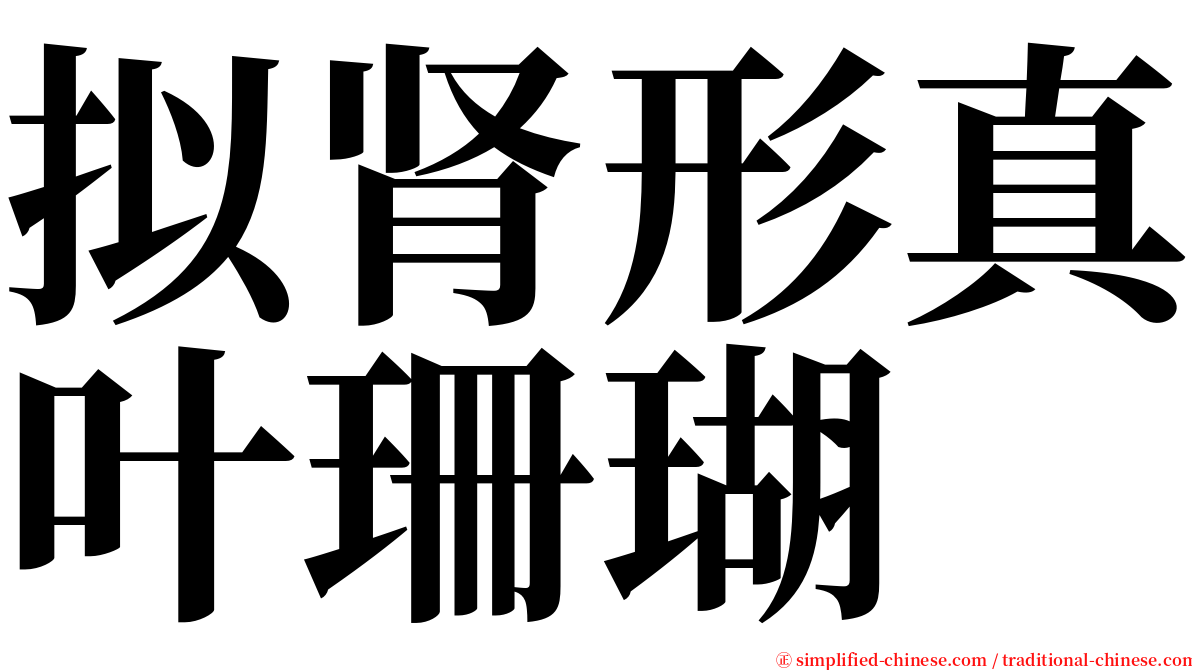 拟肾形真叶珊瑚 serif font