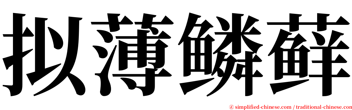 拟薄鳞藓 serif font