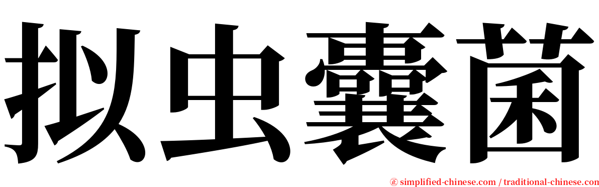 拟虫囊菌 serif font