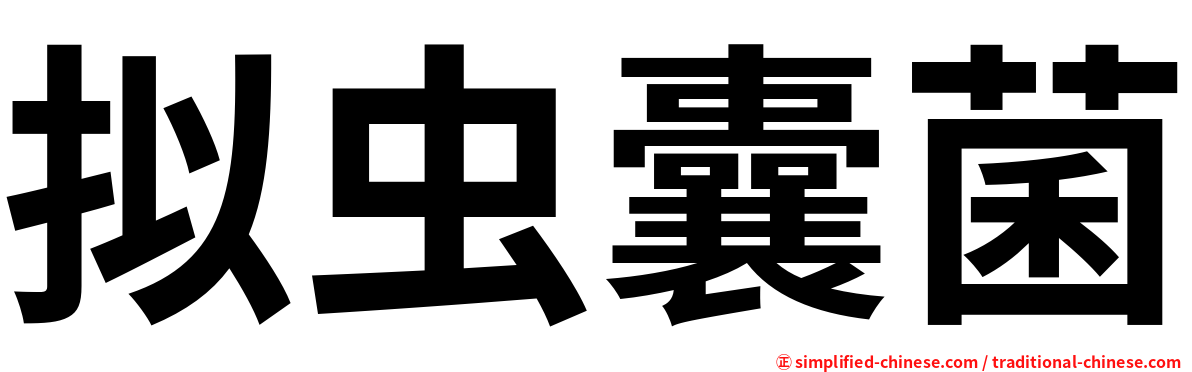 拟虫囊菌