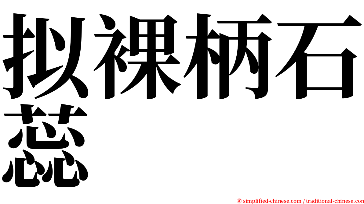 拟裸柄石蕊 serif font