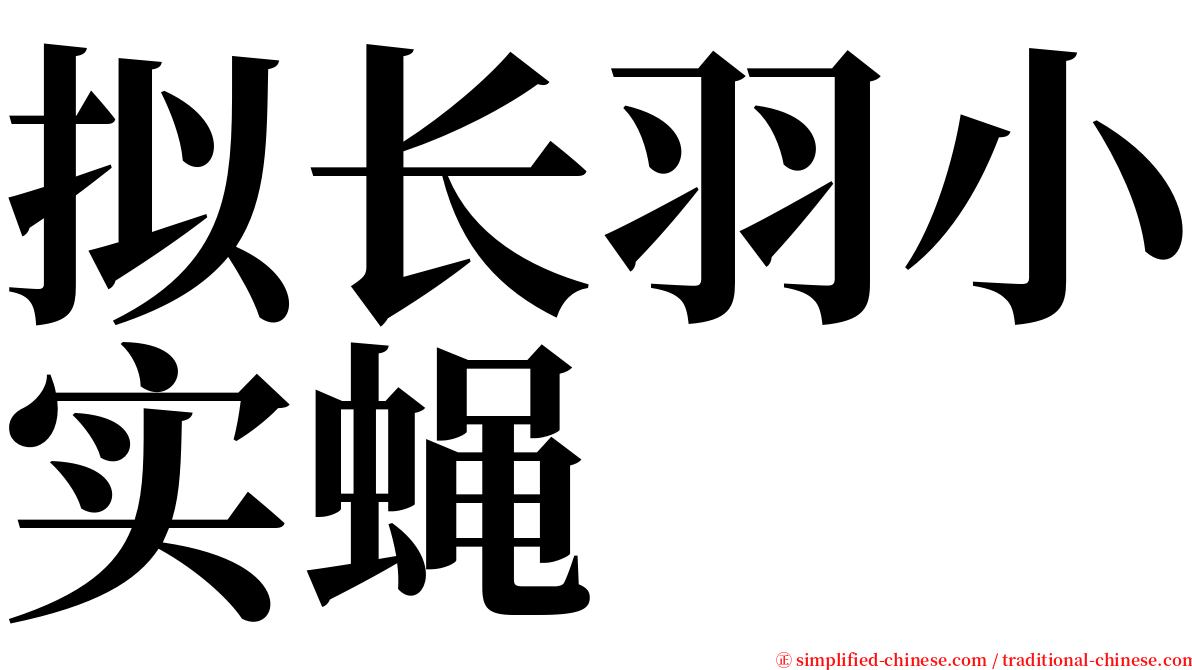 拟长羽小实蝇 serif font