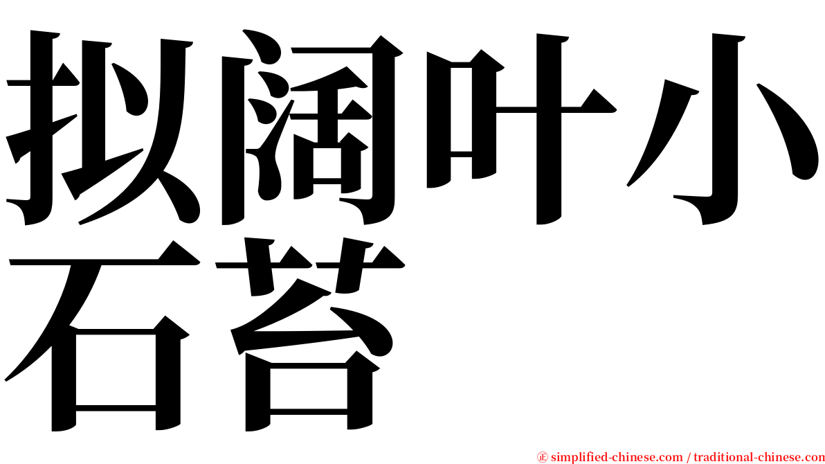 拟阔叶小石苔 serif font