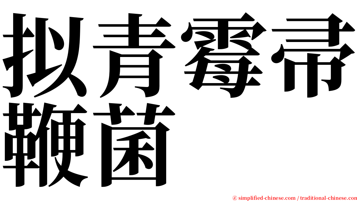 拟青霉帚鞭菌 serif font