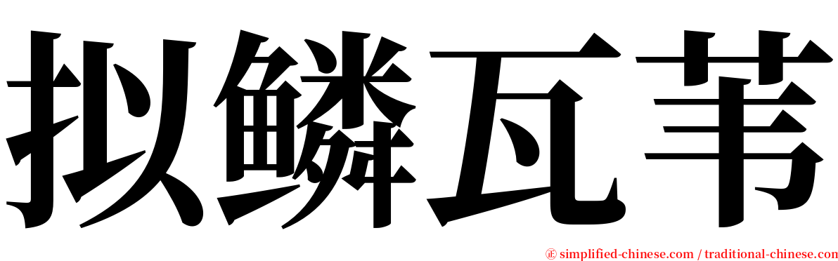 拟鳞瓦苇 serif font