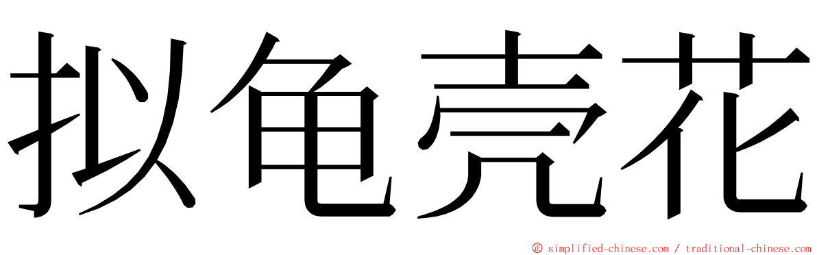 拟龟壳花 ming font