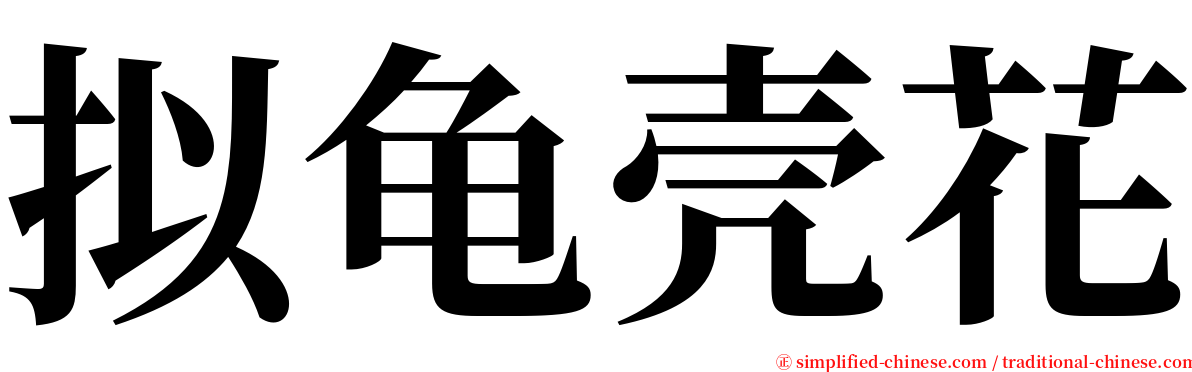 拟龟壳花 serif font