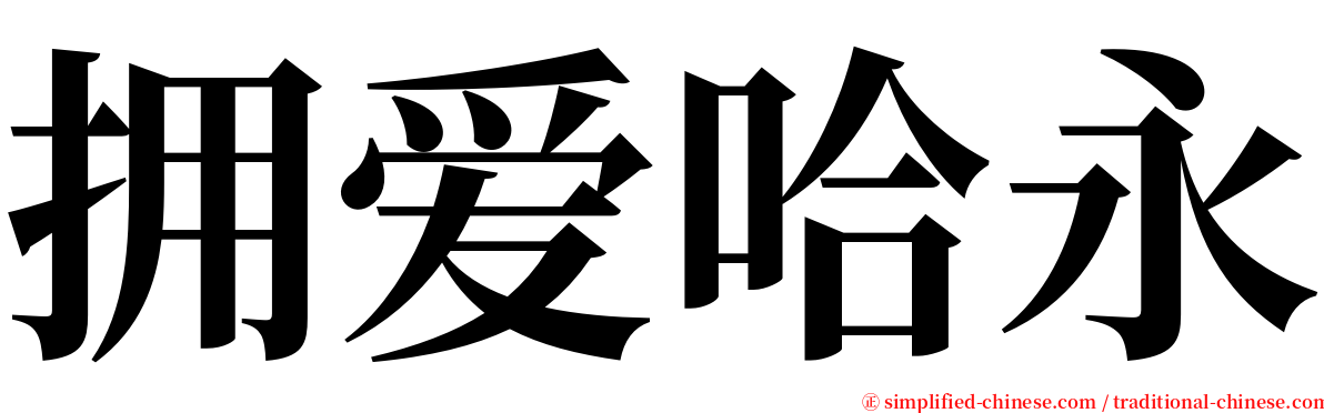 拥爱哈永 serif font