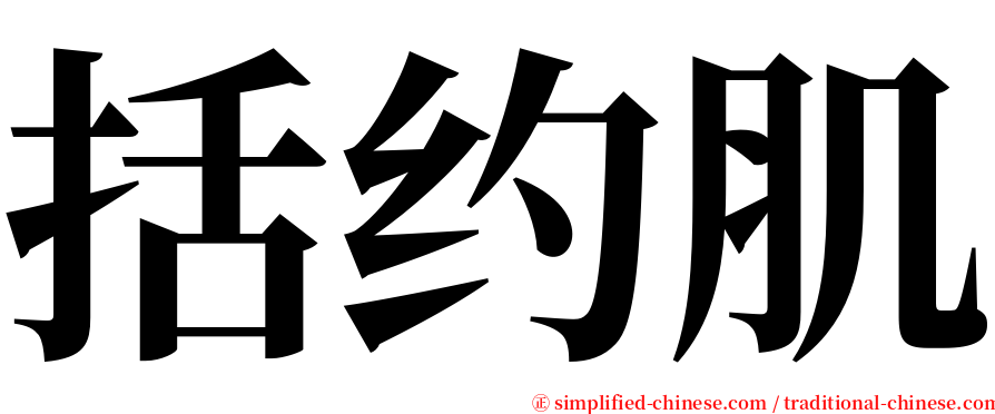 括约肌 serif font