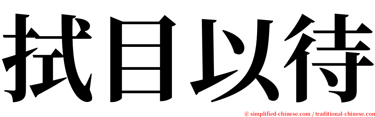 拭目以待 serif font