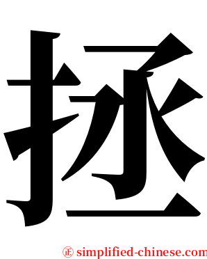 拯 serif font