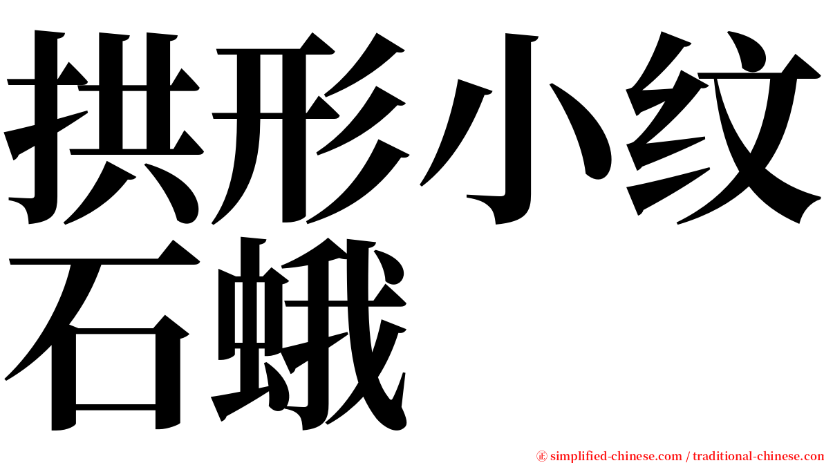 拱形小纹石蛾 serif font