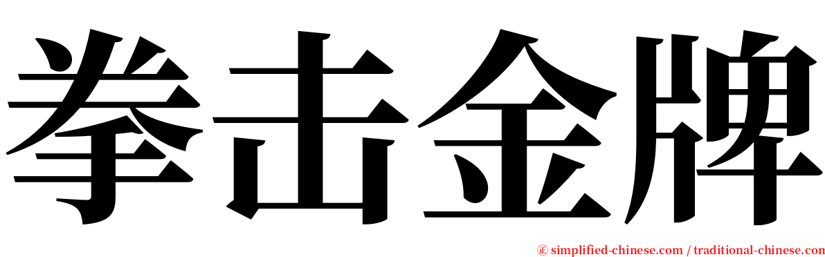 拳击金牌 serif font