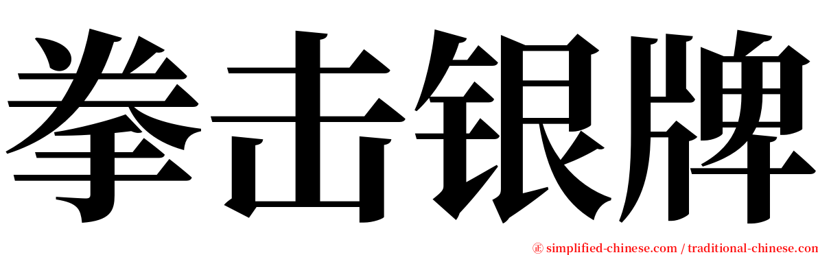 拳击银牌 serif font